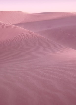 Desert Eden