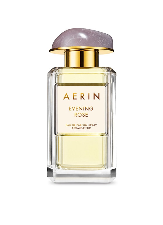 AERIN Evening Rose